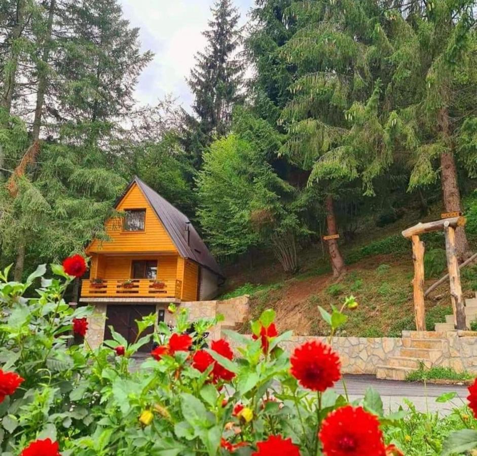 Etno Selo Bistrovo Appartement Vitez Buitenkant foto